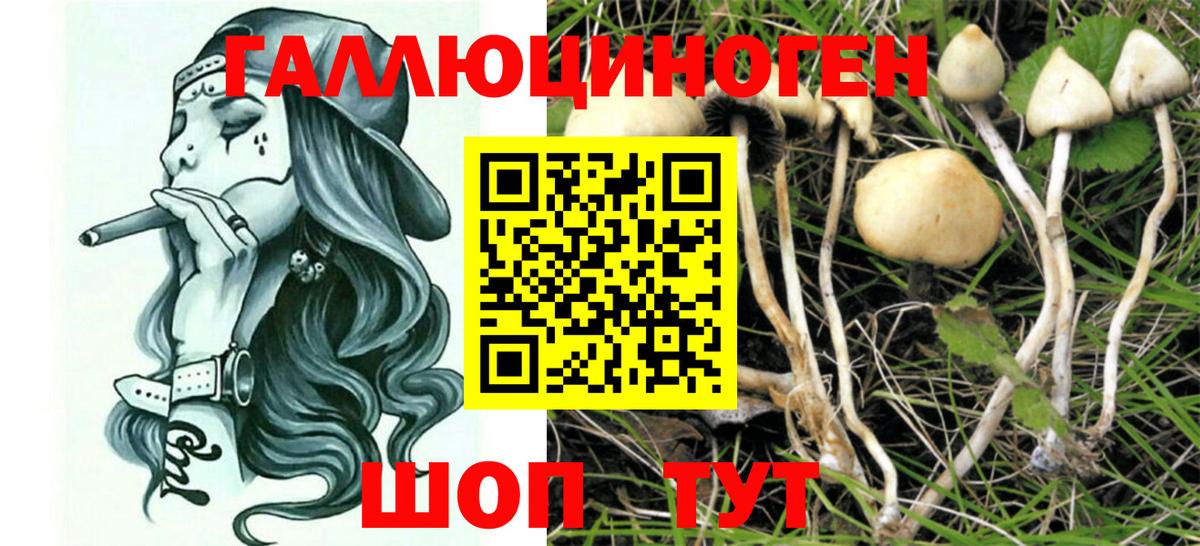 Мыски  Галлюциногенные грибы Magic Shrooms  Вход с VPN 